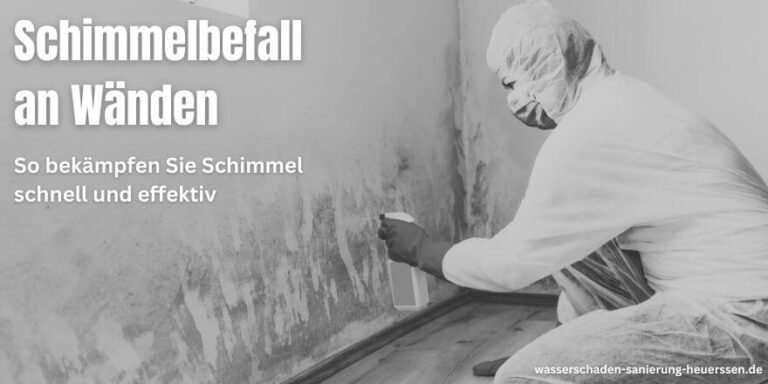 Schimmelbefall an Wänden: So bekämpfen Sie Schimmel