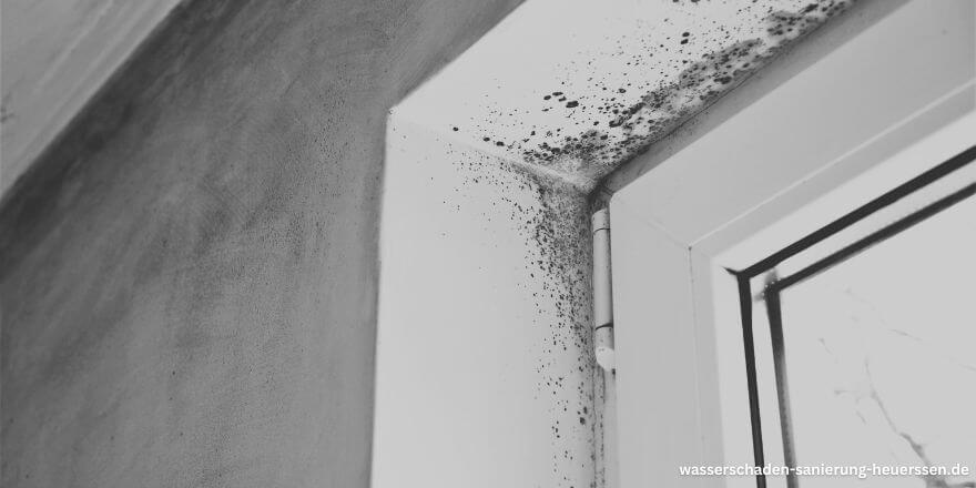Ursachen für Schimmel am Fenster Ursachen für Schimmel am Fenster