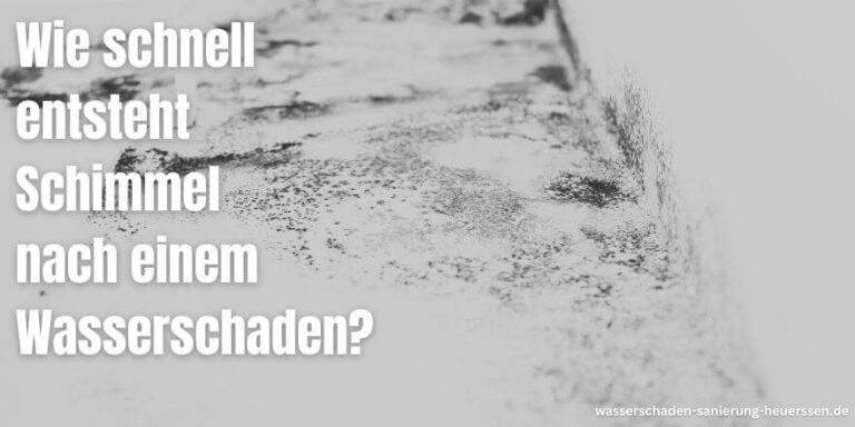 Wie schnell entsteht Schimmel nach Wasserschaden?