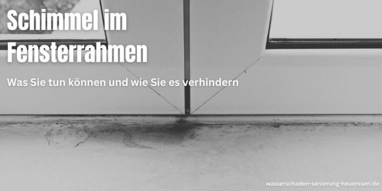 Schimmel im Fensterrahmen: Was Sie tun können